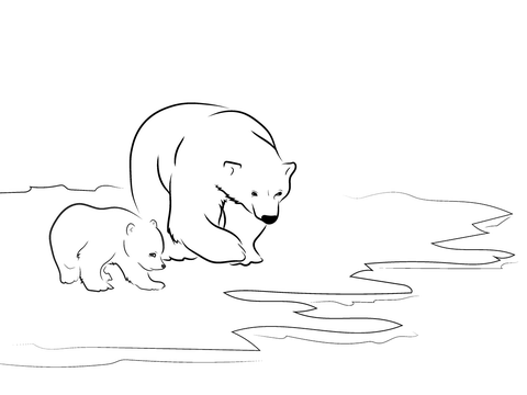 Polar Bears Coloring Page